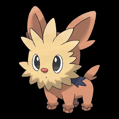 Ponchiot