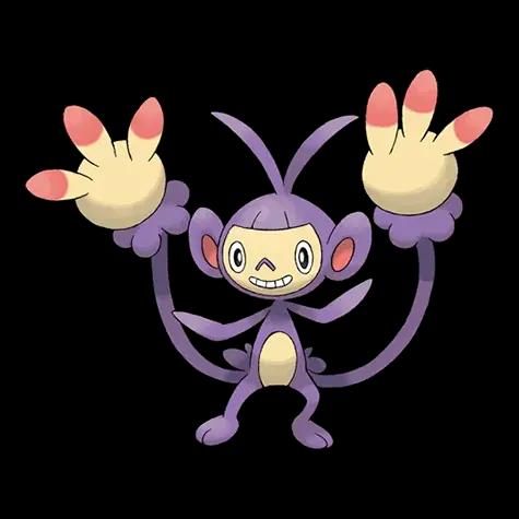Ambipom