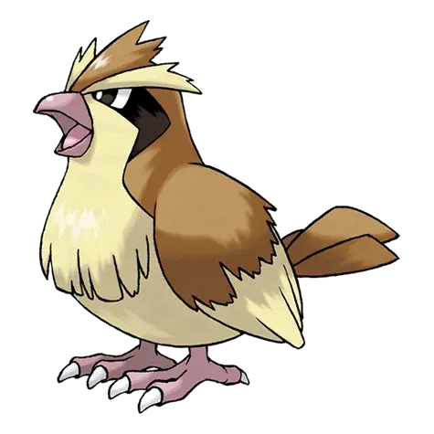 Pidgey