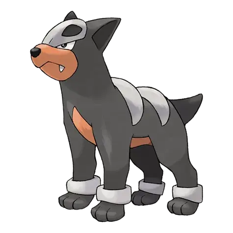 Houndour