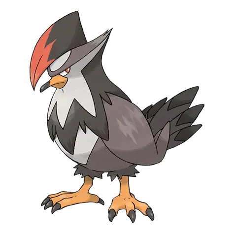Staraptor