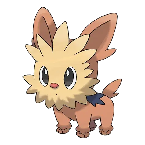 Ponchiot