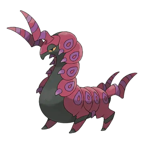 Cerapendra